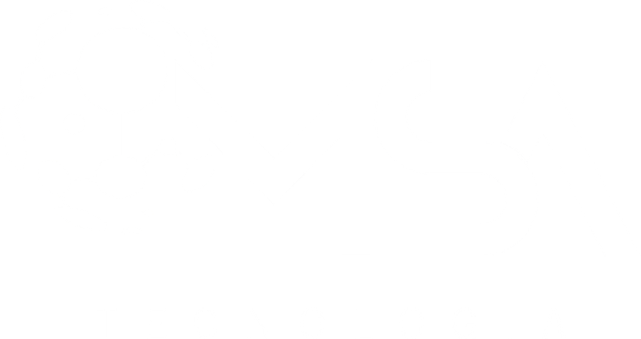 MSA Tecnologia